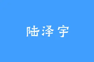 陆泽宇