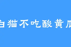 白猫不吃酸黄瓜