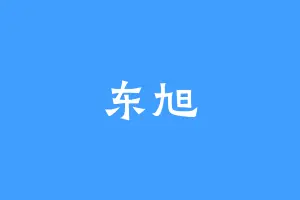 东旭