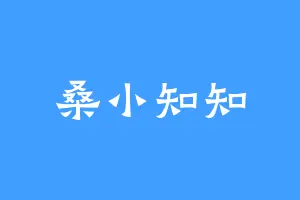 桑小知知