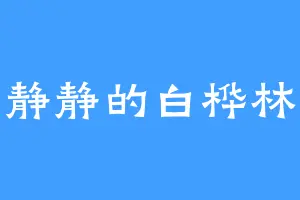 静静的白桦林