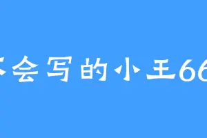 不会写的小王666