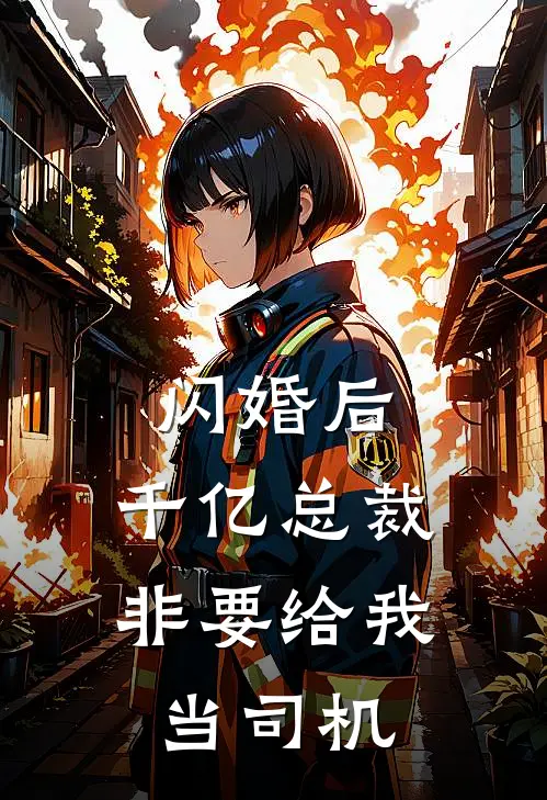 闪婚后，千亿总裁非要给我当司机苏晚陈泽最新好看小说推荐_完本小说免费闪婚后，千亿总裁非要给我当司机(苏晚陈泽)