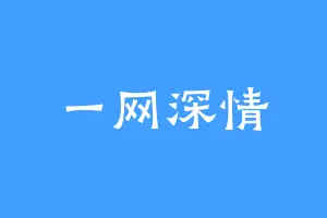一网深情