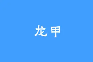 龙甲