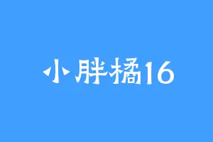 小胖橘16