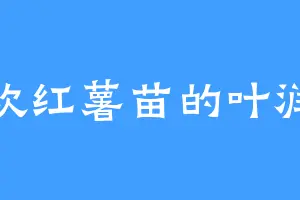喜欢红薯苗的叶润东