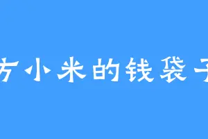 方小米的钱袋子