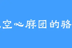 爱吃空心麻团的骆琦雪