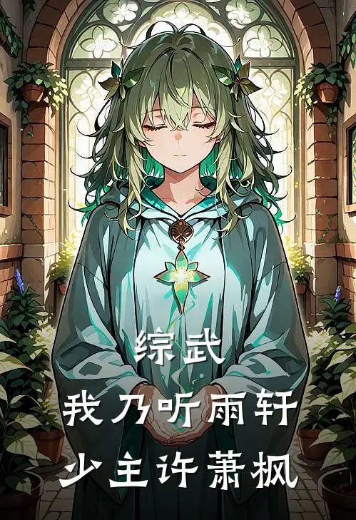 综武：我乃听雨轩少主许萧枫