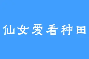 小仙女爱看种田文
