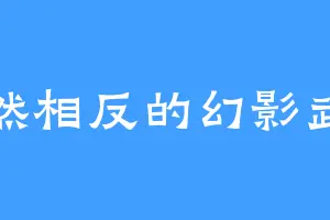 截然相反的幻影武帝