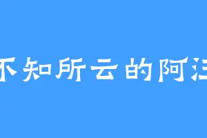 不知所云的阿汪