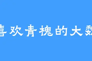 喜欢青槐的大魏