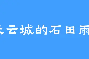 天云城的石田雨竜