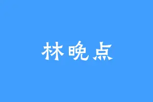 林晚点