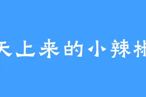 天上来的小辣椒