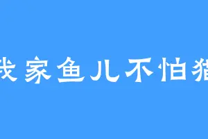 我家鱼儿不怕猫
