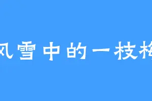 风雪中的一枝梅