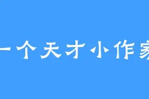 一个天才小作家