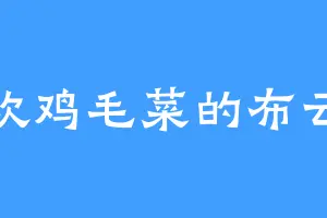 喜欢鸡毛菜的布云巅