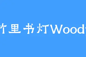 竹里书灯Woody