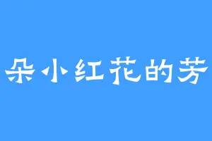 一朵小红花的芳华