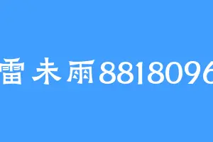 雷未雨8818096