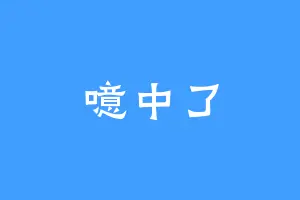 噫中了