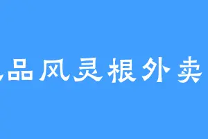 极品风灵根外卖侠
