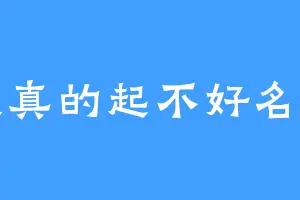 我真的起不好名字