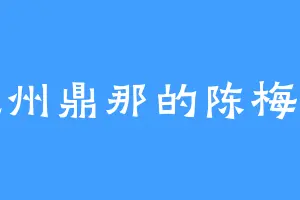 九州鼎那的陈梅香