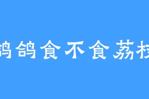 鸽鸽食不食荔枝