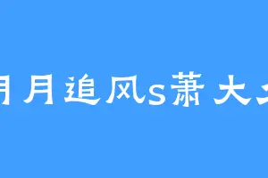 明月追风s萧大少