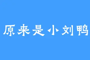 原来是小刘鸭