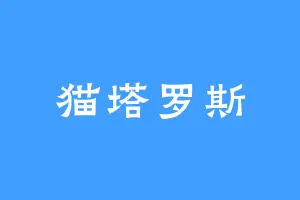 猫塔罗斯