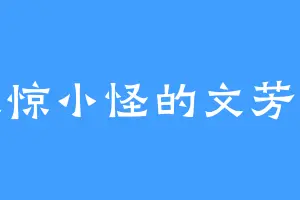 大惊小怪的文芳芳