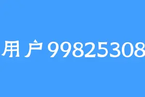 用户99825308