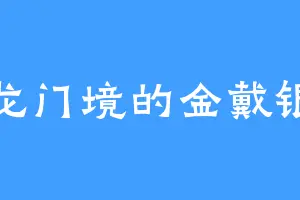 龙门境的金戴银
