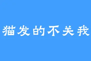 是小猫发的不关我的事