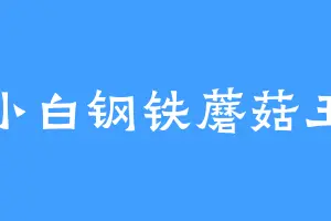 小白钢铁蘑菇王