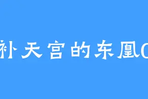 补天宫的东凰0
