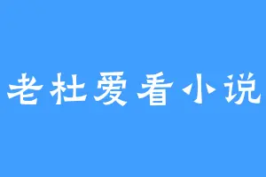 老杜爱看小说