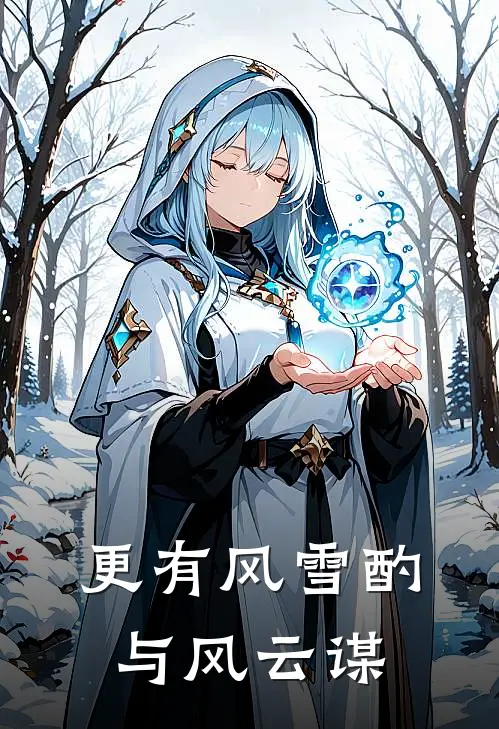 更有风雪酌与风云谋