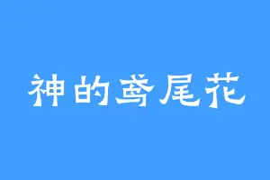 神的鸢尾花