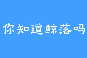 你知道鲸落吗