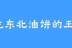 爱吃东北油饼的王璟言