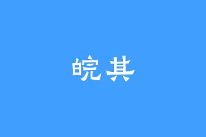 皖其