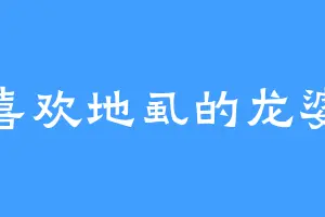 喜欢地虱的龙婆