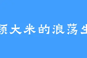 一颗大米的浪荡生活